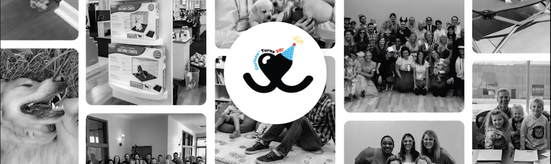 Secure Comfort for Every Pet